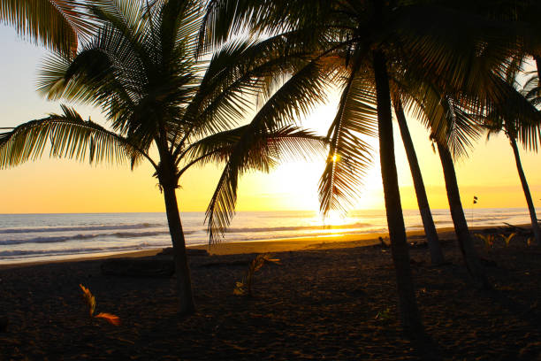istock Summer landscape 1480626356