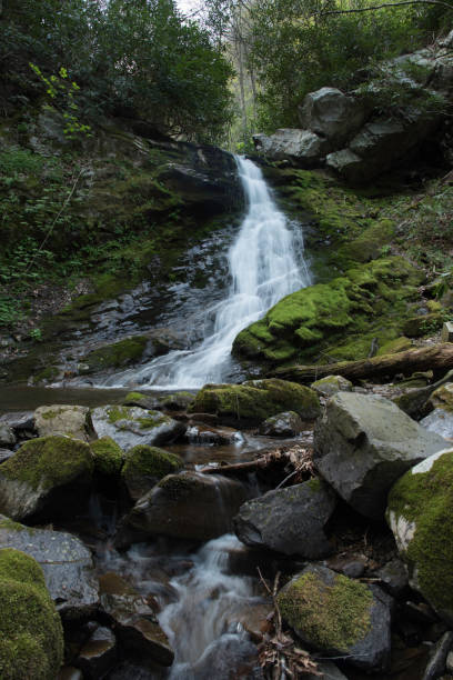 czterdziestopięciometrowy wodospad w pięknym lesie narodowym cherokee w pobliżu greeneville w stanie tennessee. - tennessee waterfall stream forest zdjęcia i obrazy z banku zdjęć