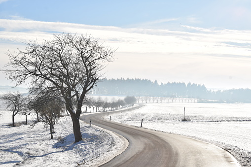 snow and bold trees along the curvy asphalt road