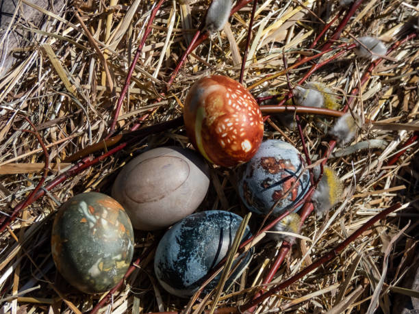 istock Naturally Dyed Easter Eggs, decorated with plants and flowers boiled with red cabbage, onion peels, hibiscus tea creating blue, brown and grey color 1480630350