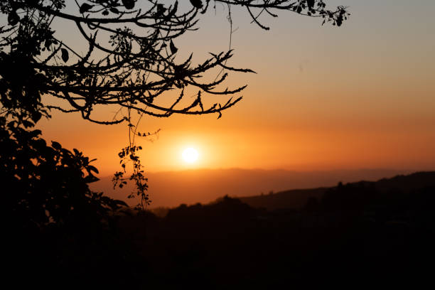 istock Silhouette of tree branches with budding buds against a yellow, orange blurred sunset 1480630605