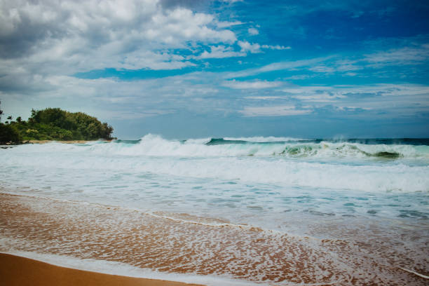 istock Sunny, sandy beach coastline in Kauai, Hawaii 1480631155