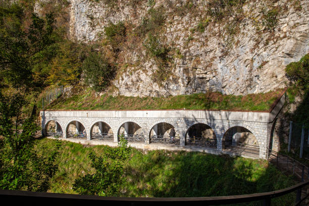 Part of Olive trail   next to Lugano town