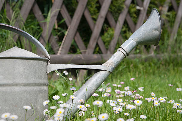 istock Watering can in spring blooming garden 148063874