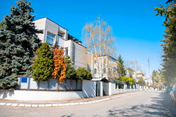istock homes on a quiet street 1480638907
