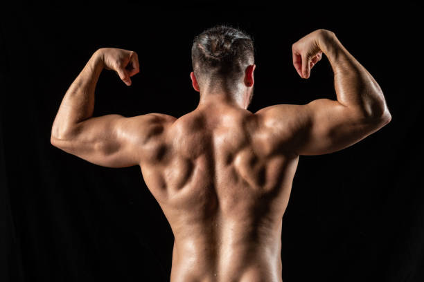 젊은 보디 빌더의 초상화 - human muscle back muscular build men 뉴스 사진 이미지