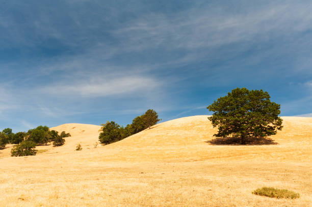 beautiful farmland in Glide, stock photo