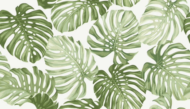 istock Tropical seamless pattern with monstera leaves. Exotic plant. Hawaiian design. Vector illustration. Botanical background. 1480645584