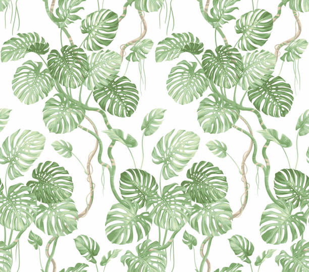 Tropical seamless pattern with monstera leaves. Exotic plant. Hawaiian design. Vector illustration. Botanical background. Tropical seamless pattern with monstera leaves. Exotic plant. Hawaiian design. Vector illustration. Botanical background. jungle leaf pattern stock illustrations