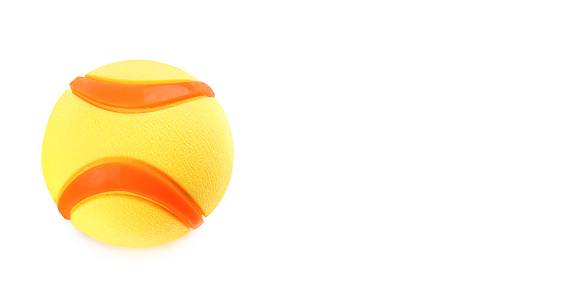 Ball (dog toy) isolated on white background. Free space for text. Wide photo.