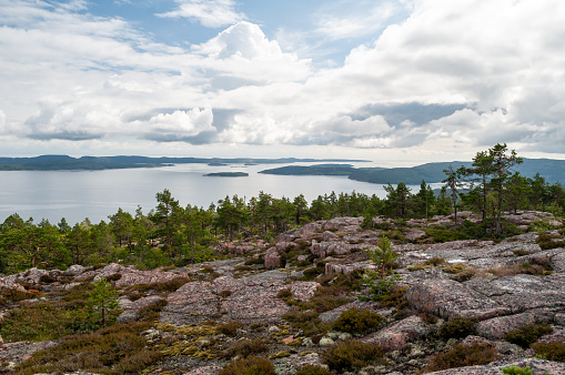 Rocky and wooded coast in northern Sweden in Skuleskogen National Park