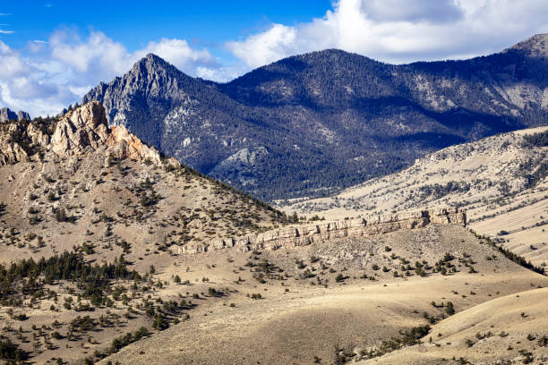 istock Mountain and Valley Landscape Wyoming 1480652354