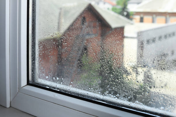 istock Wet window on rainy day, closeup. View from inside 1480657549