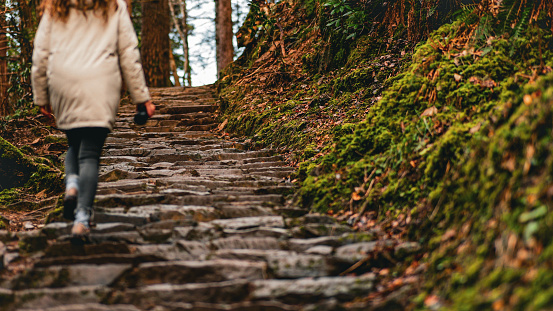 back view of young woman in coat hiking in forest, hiking in national park, hiking woman holding thermos, getting away from city and getting oxygen in nature