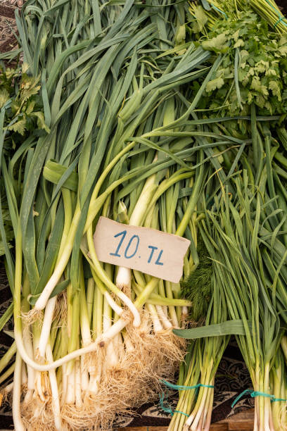 istock Fresh greenery in Turkish market with prices. 1480661402