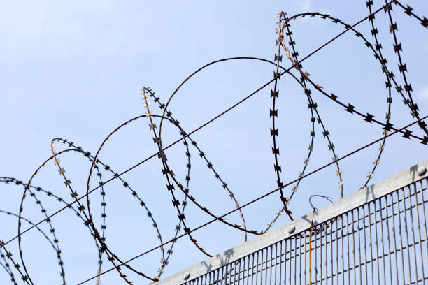 istock Barbed wires against sky. Wired fence 1480661426