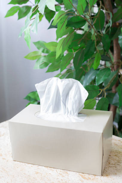 istock Box of tissue sits on table with green plant in background. 1480662171