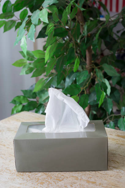 istock Box of tissue sits on table with green plant in background. 1480662176