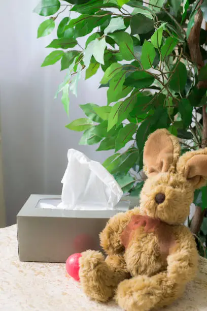 Photo of Box of tissue sits on table with green plant in background.  Generic toy bunny sits by box of tissue with his own tissue in his hand.