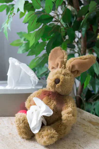 Photo of Box of tissue sits on table with green plant in background.  Generic toy bunny sits by box of tissue with his own tissue in his hand.