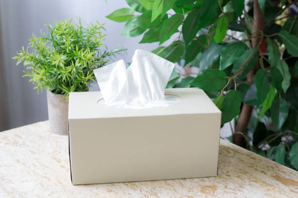 istock Box of tissue sits on table with green plant in background. 1480662207