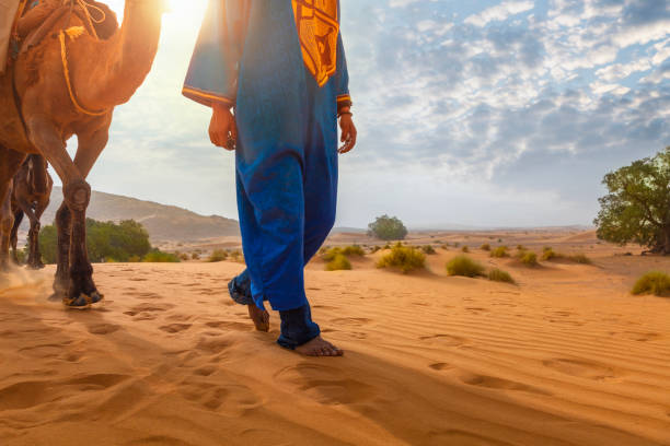 A barber leading his camels in the Sahara desert.