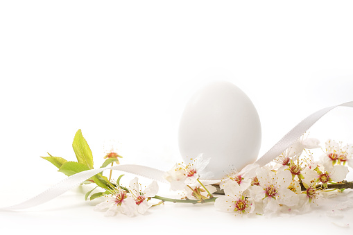 White Easter egg with a branch of wild fruit blossoms on a light background, holiday greeting card, copy space, selected focus, narrow depth of field