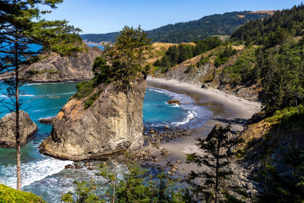 istock Beach North of Otter Point 1480663582