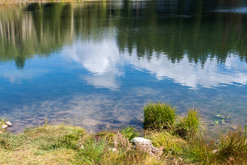 Tree reflections in a pond on a autumn day outdoors.