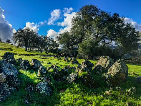 Cronan Ranch Regional Park, California Gold Country.