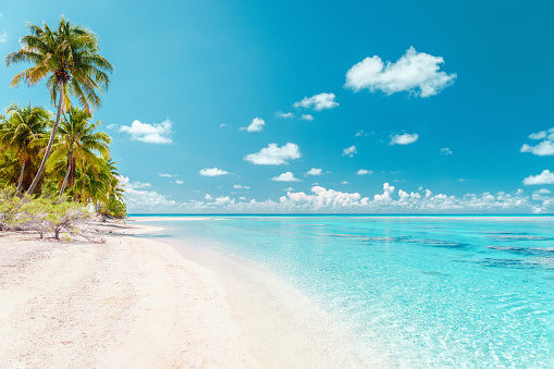 Beach travel vacation tropical paradise getaway on coral reef island atoll with idyllic pristine ocean crystal clear turquoise water lagoon. Perfect honeymoon destination background.