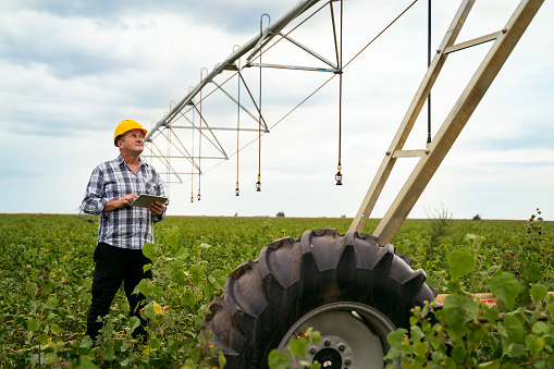 Man agriculture expert, farmer standing near watering systems on the field with digital tablet