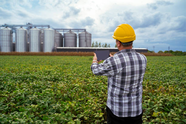 istock Famer with hardhat holding tablet towrads the silos , back view 1480679742