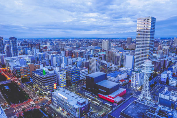 View from Sapporo TV Tower Sightseeing in Hokkaido