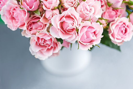 Pink roses in the vase