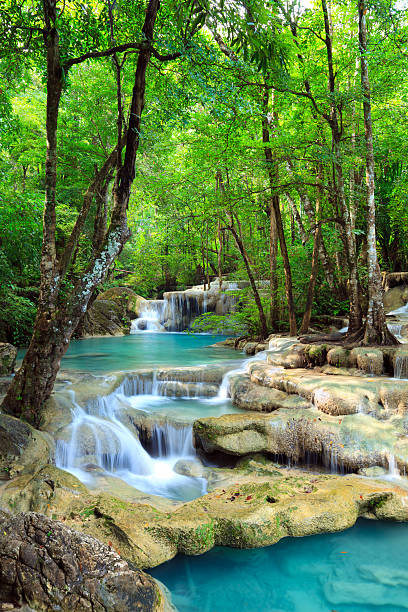 エラワンの滝カーンチャナブリー県（タイ） - waterfall erawan tropical rainforest tree ストックフォトと画像
