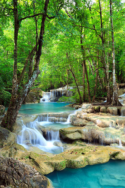 에라완폭포 in 깐짜나부리, 태국 - waterfall erawan tropical rainforest tree 뉴스 사진 이미지