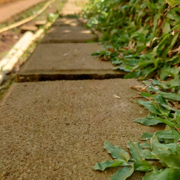 istock bricks and vines of green grass 1480696693