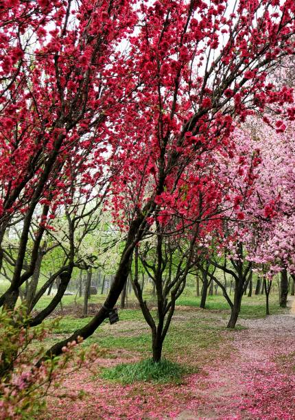 istock VH560-000 spring landscape 1.jpg 1480696695
