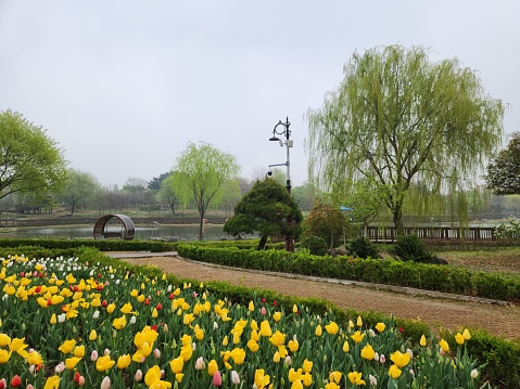 Xi Yuan Park in Luoyang, Henan Province, China.