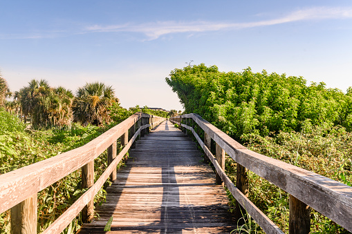 This is a photograph of a wooden boardwalk surrounded with green mangrove trees leading to Cocoa Beach, Florida on a sunny day.
