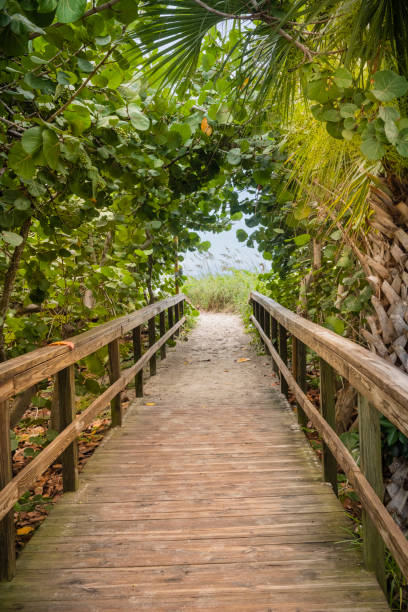 istock Wooden Boardwalk Leading to Satellite Beach in Florids 1480698655