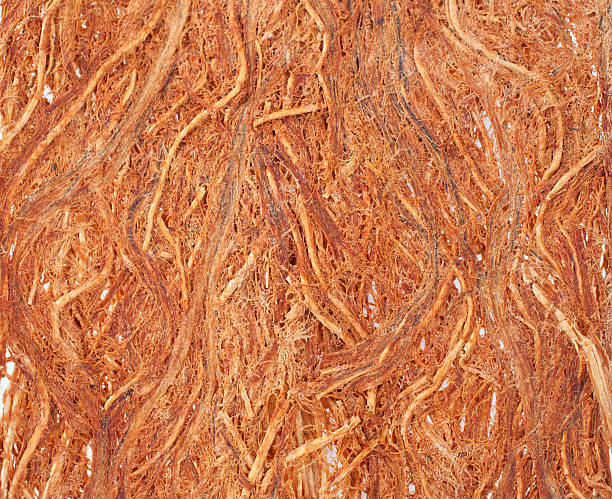 Gugo bark texture stock photo