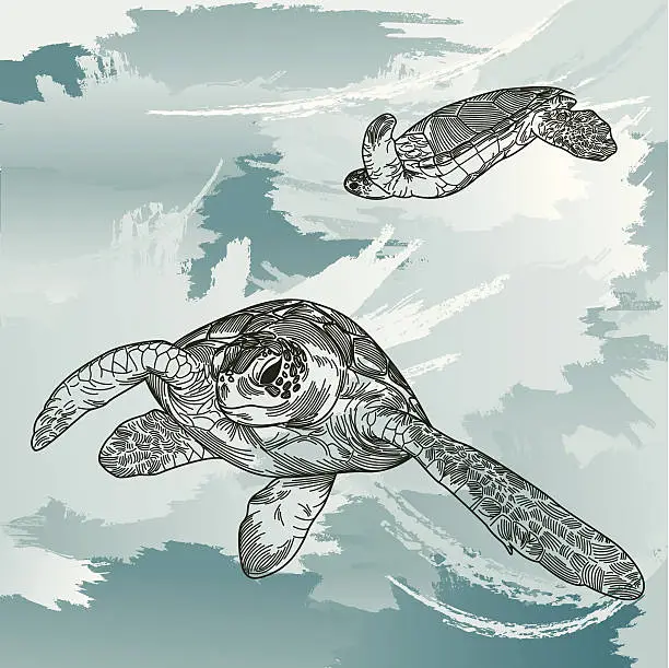 Vector illustration of Sea Turtles Underwater