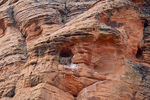 Birds nest in the red sandstone formations at Snow Canyon State Park
