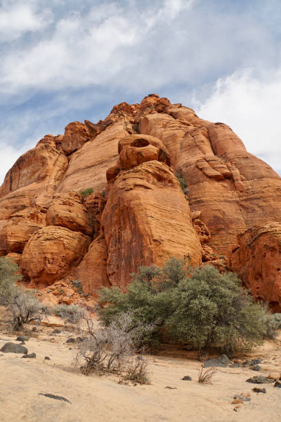 istock Red sandstone at Snow Canyon State Park, Utah 1480701556