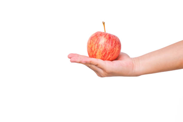 istock Hand holding red apple isolated on white background. Ripe red apple in human hand. 1480704773