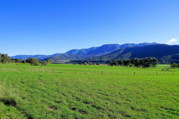 istock Porepunkah, Victoria, Australia 1480706310