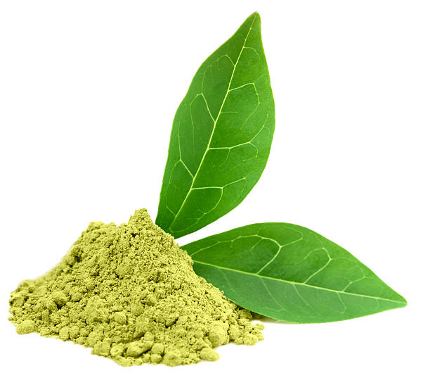 tierra verde con hojas de té matcha dos sobre blanco - green tea herbal medicine ground isolated fotografías e imágenes de stock