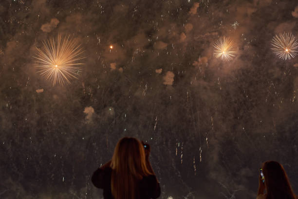 istock fireforks in the night sky 1480711633